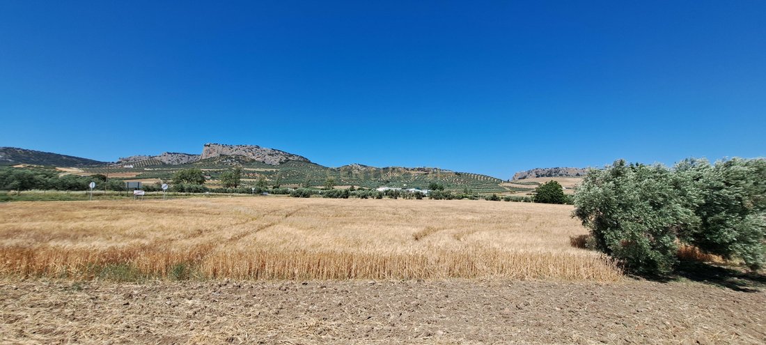 Land in Cuevas del Becerro, Andalusia, Spain 3 - 14456326