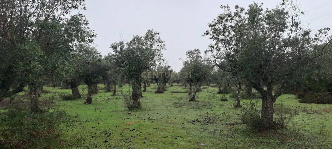 Land in Sao Saturnino, Portalegre District, Portugal 2 - 17007703