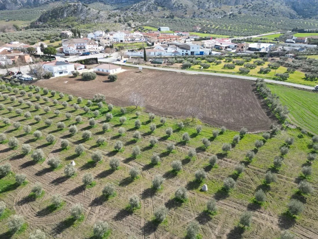Land in Cuevas del Becerro, Andalusia, Spain 2 - 14456326