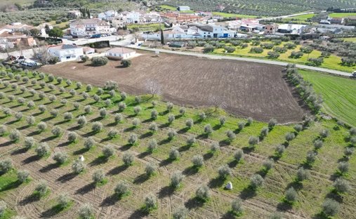 Land in Cuevas del Becerro, Andalusien, Spanien 1