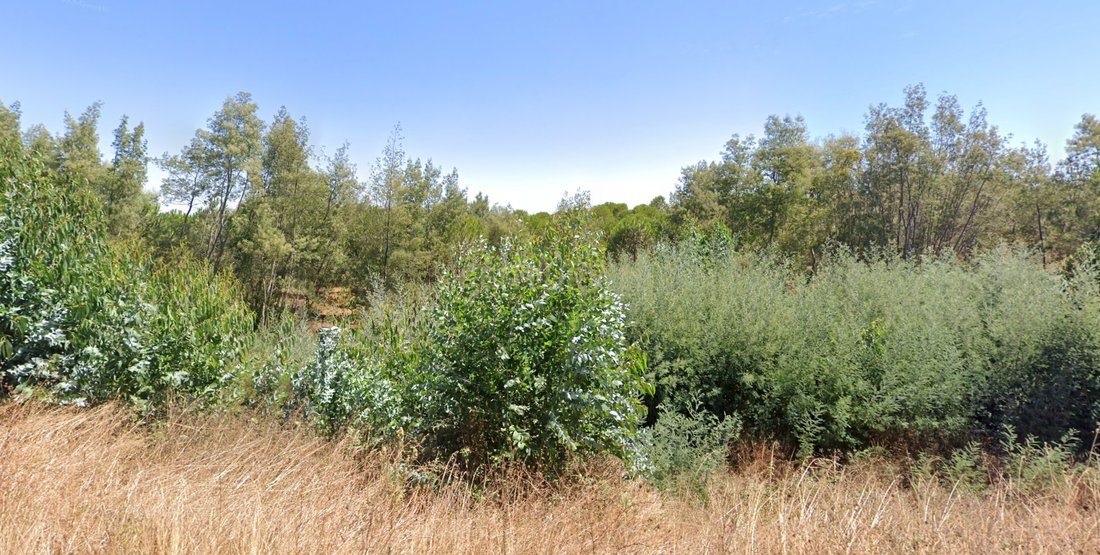 Farm Ranch in Sao Luis, Beja District, Portugal 4 - 12684517