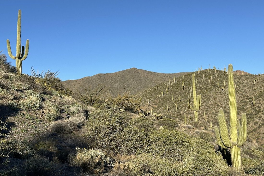 Land in Scottsdale, Arizona, United States 3 - 17007622