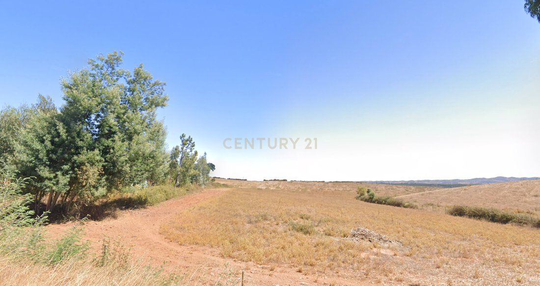 Farm Ranch in Sao Luis, Beja District, Portugal 3 - 12684517