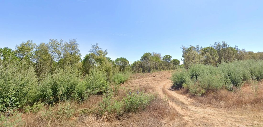 Farm Ranch in Sao Luis, Beja District, Portugal 2 - 12684517