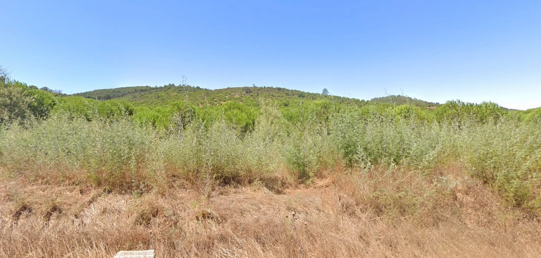 Farm Ranch in Cercal, Setubal, Portugal 2 - 12684522