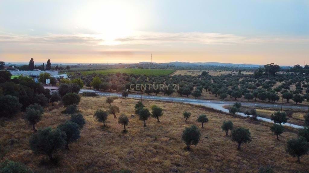 Land in Estremoz (Santa Maria e Santo Andre), Évora District, Portugal 3 - 13444297