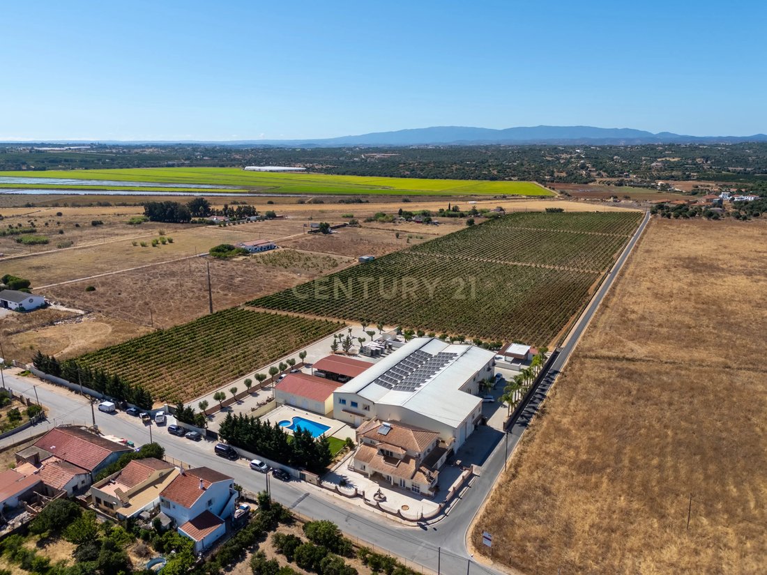 Farm Ranch in Silves, Algarve, Portugal 1 - 16093707