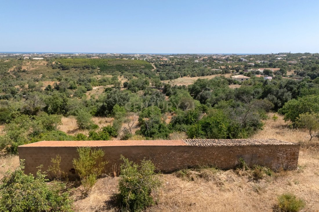 Villa in Ferreiras, Algarve, Portugal 4 - 15914614