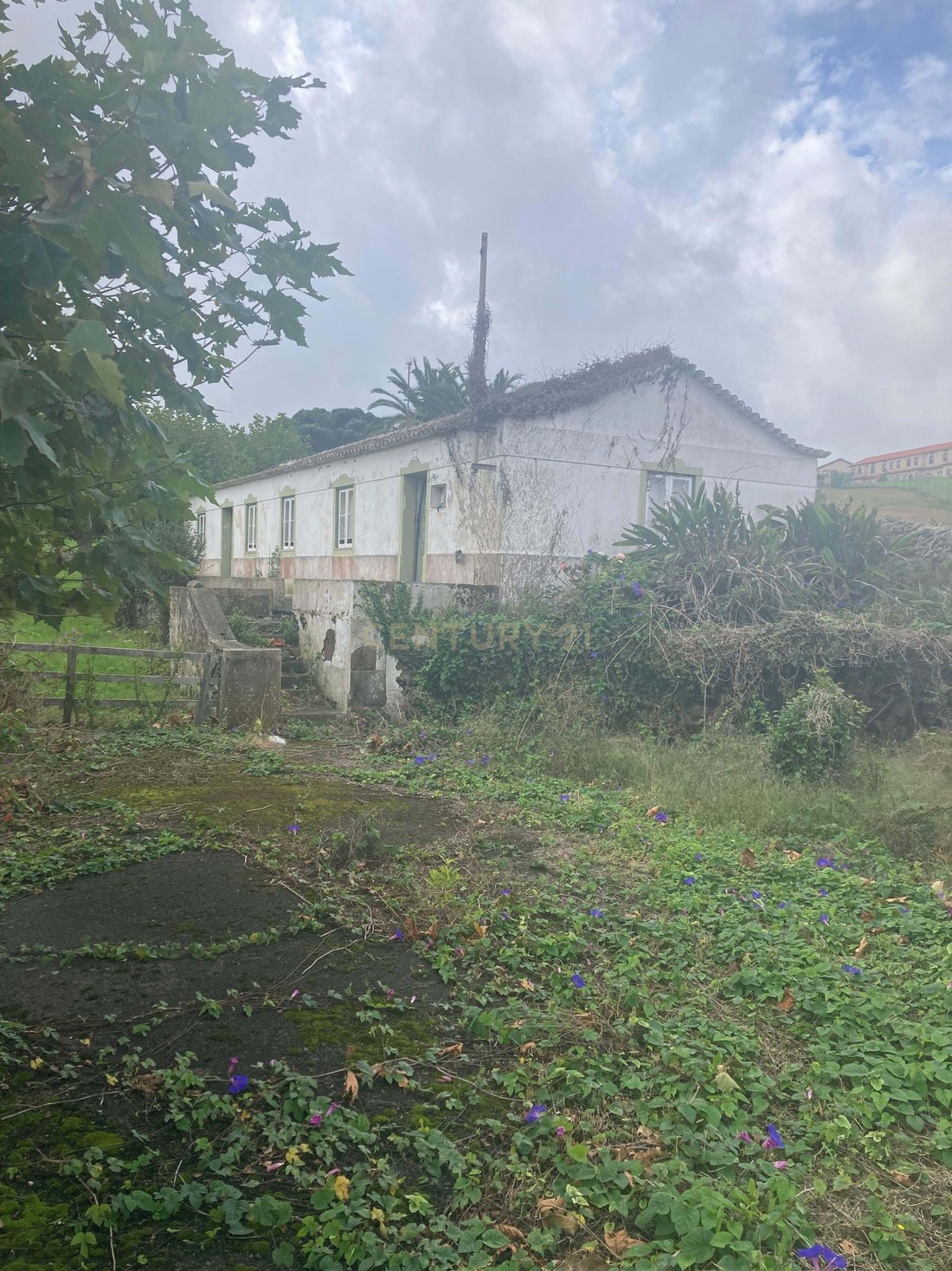 Land in Praia da Vitoria (Santa Cruz), Azores, Portugal 1 - 15063572