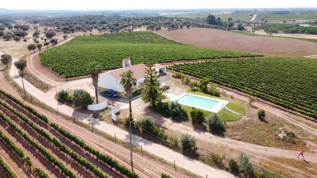 Land in Estremoz (Santa Maria e Santo Andre), Évora District, Portugal 1 - 13501512