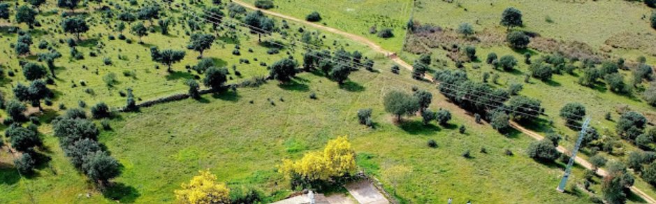 Land in Cáceres, Extremadura, Spain 4 - 16673225