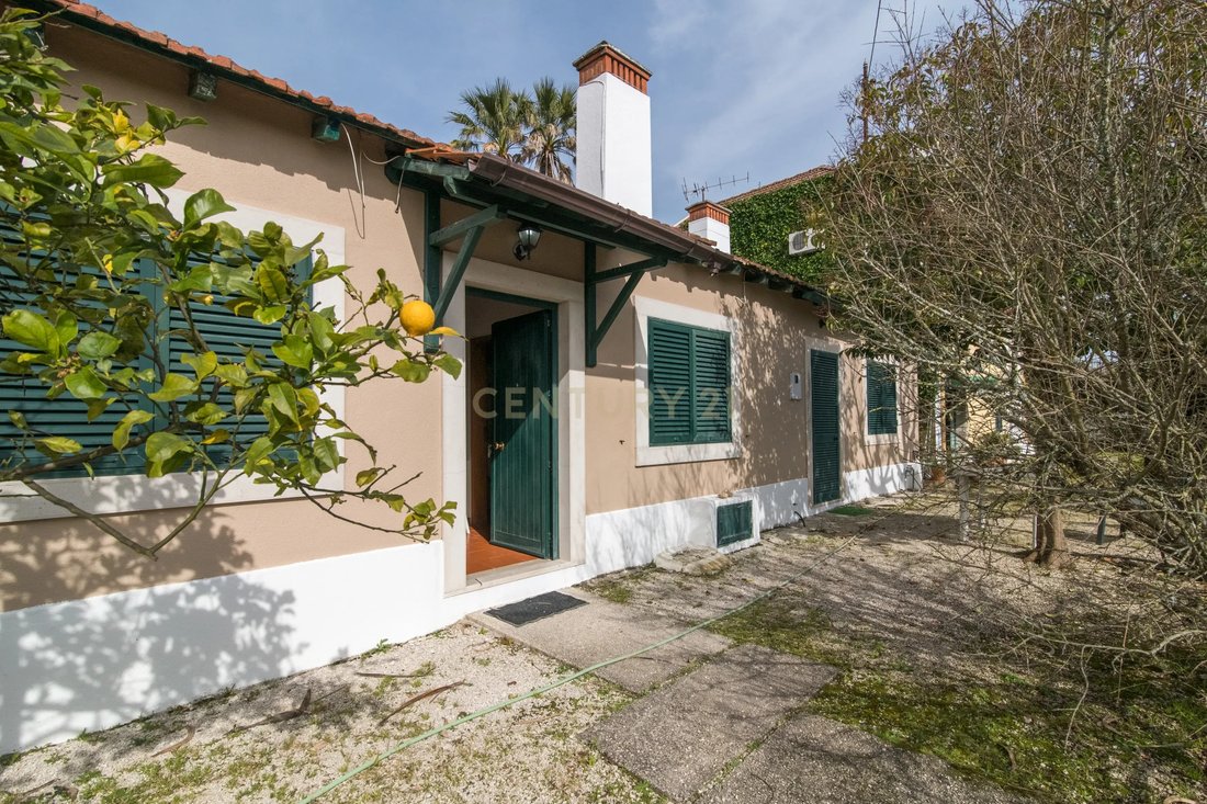Farm Ranch in Ramada e Canecas, Lisbon, Portugal 5 - 15428213