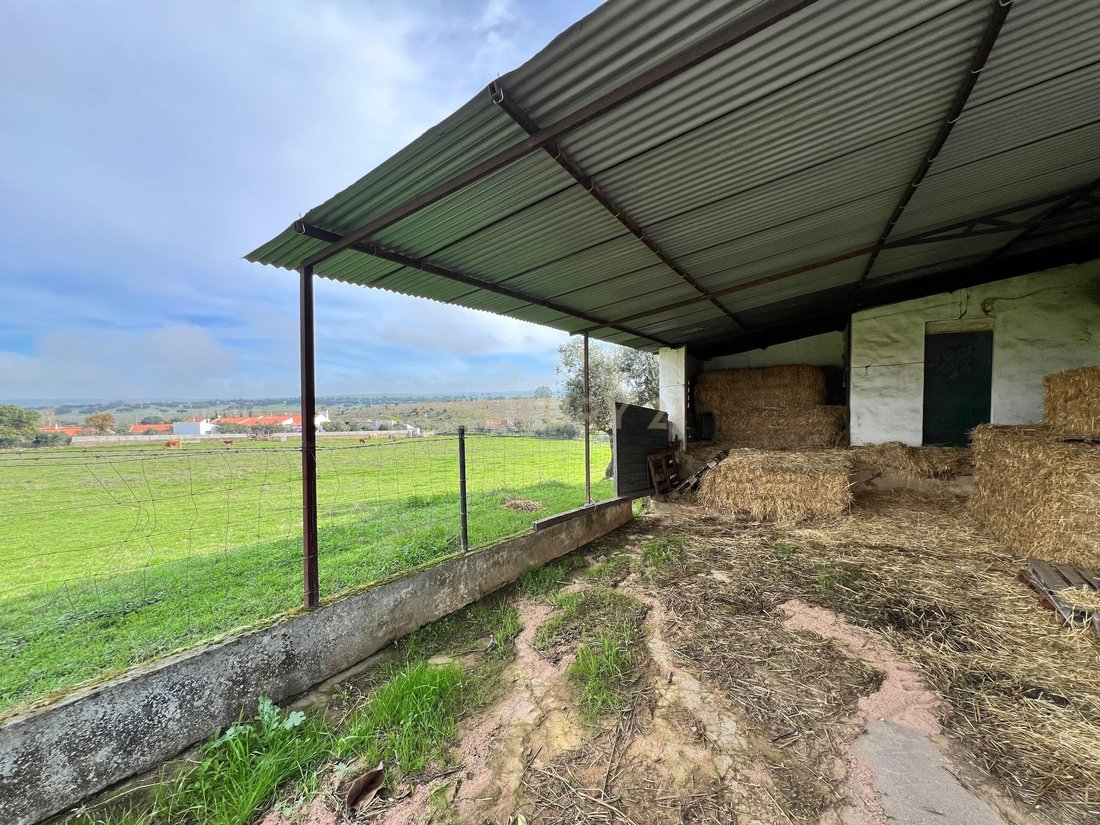 Farm Ranch in Santo Aleixo, Portalegre District, Portugal 5 - 15975066