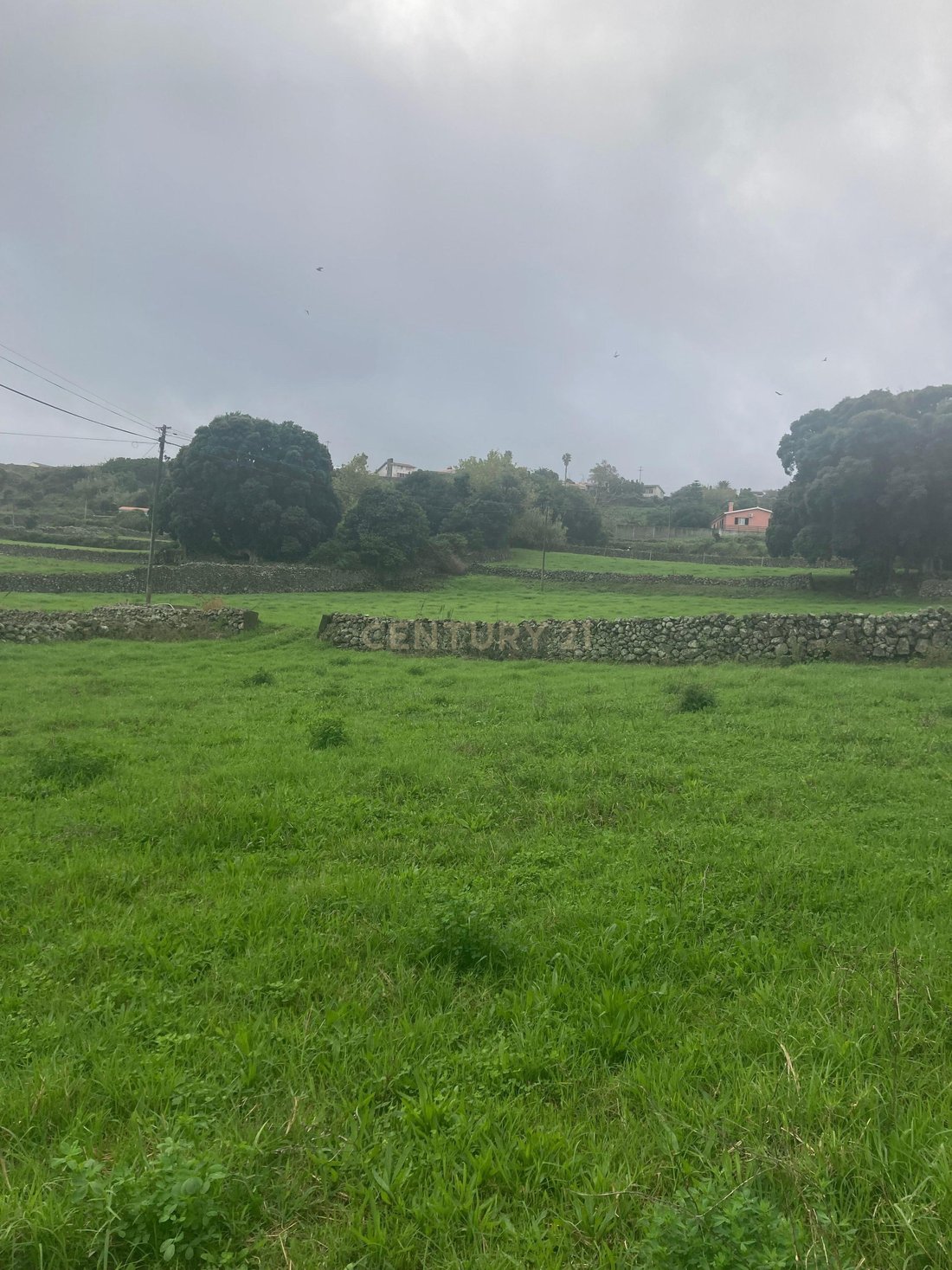 Land in Praia da Vitoria (Santa Cruz), Azores, Portugal 5 - 15063572