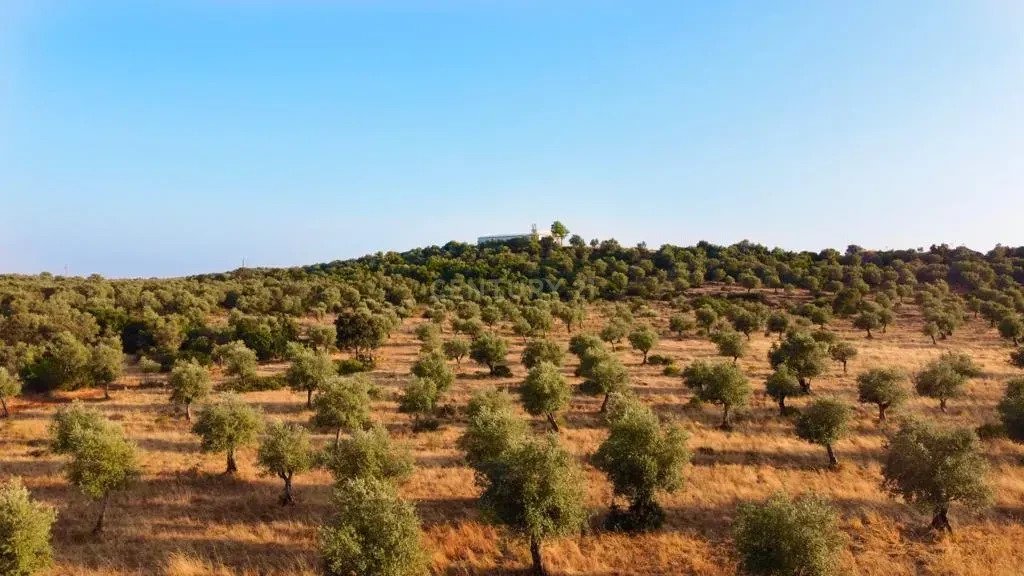 Land in Estremoz (Santa Maria e Santo Andre), Évora District, Portugal 1 - 13444297