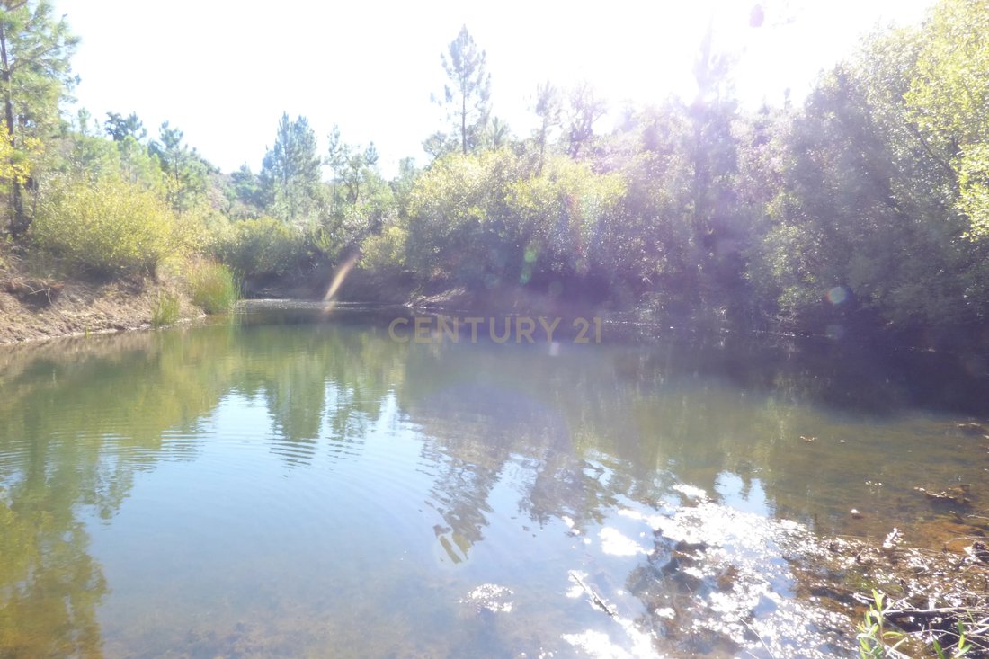 Land in Sao Bras de Alportel, Algarve, Portugal 4 - 12280357