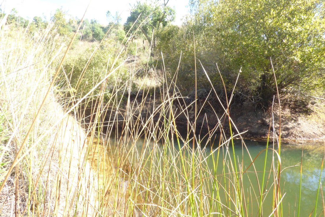 Land in Sao Bras de Alportel, Algarve, Portugal 5 - 12280357