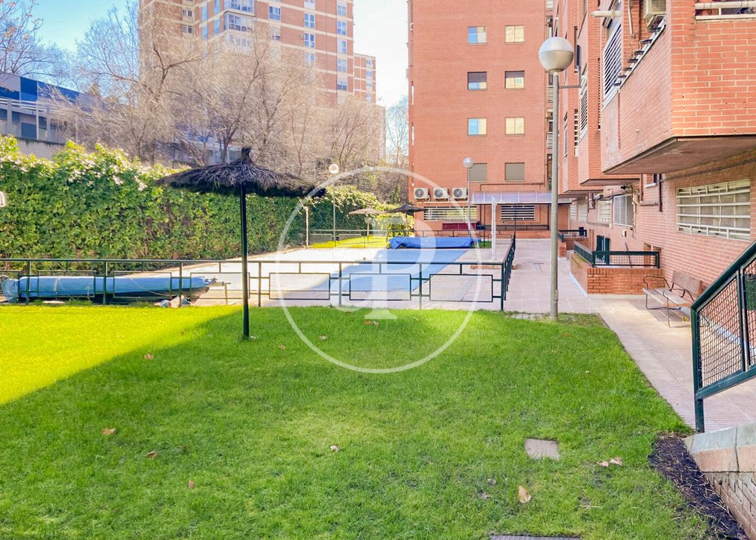 Apartment in Ciudad Lineal, Madrid, Spain 1 - 17007506