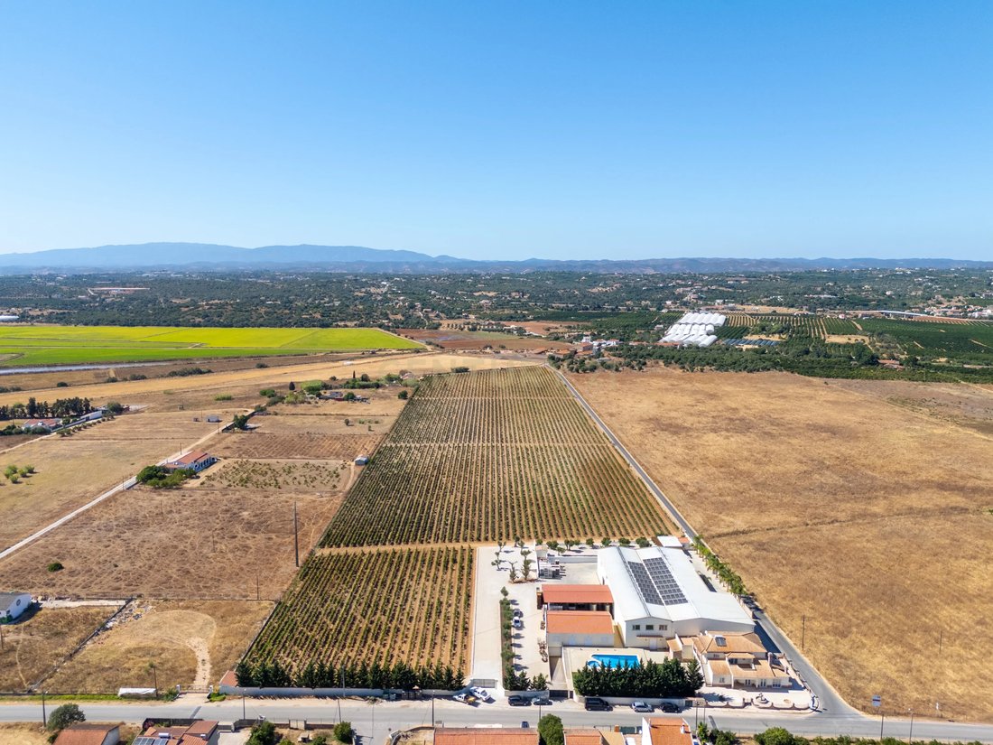Farm Ranch in Silves, Algarve, Portugal 3 - 16093707