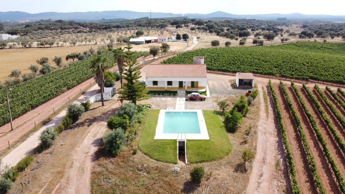Land in Estremoz (Santa Maria e Santo Andre), Évora District, Portugal 2 - 13501512