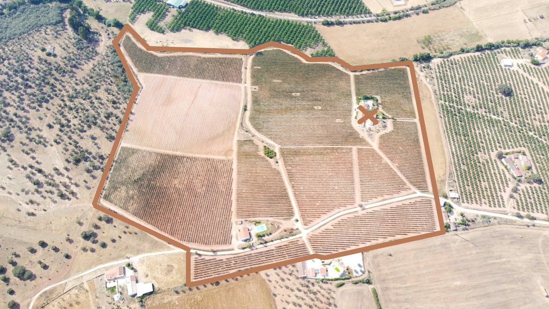 Land in Estremoz (Santa Maria e Santo Andre), Évora District, Portugal 5 - 13501512