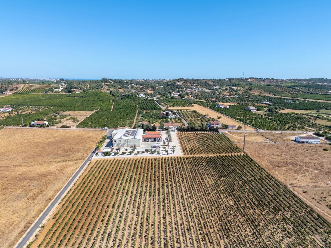 Farm Ranch in Silves, Algarve, Portugal 4 - 16093707