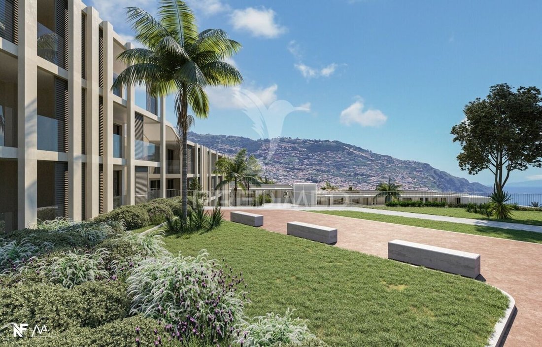 Apartment in Sao Martinho, Madeira, Portugal 4 - 17007535