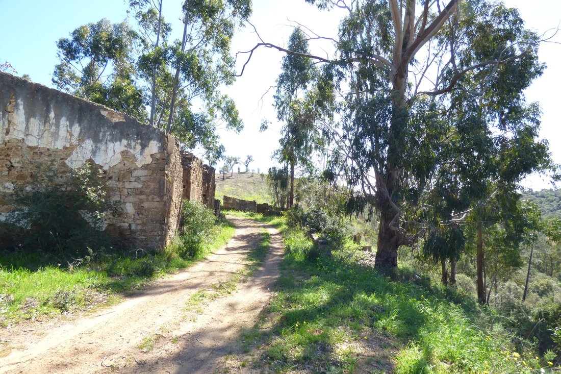 Land in Sao Bras de Alportel, Algarve, Portugal 3 - 12280357