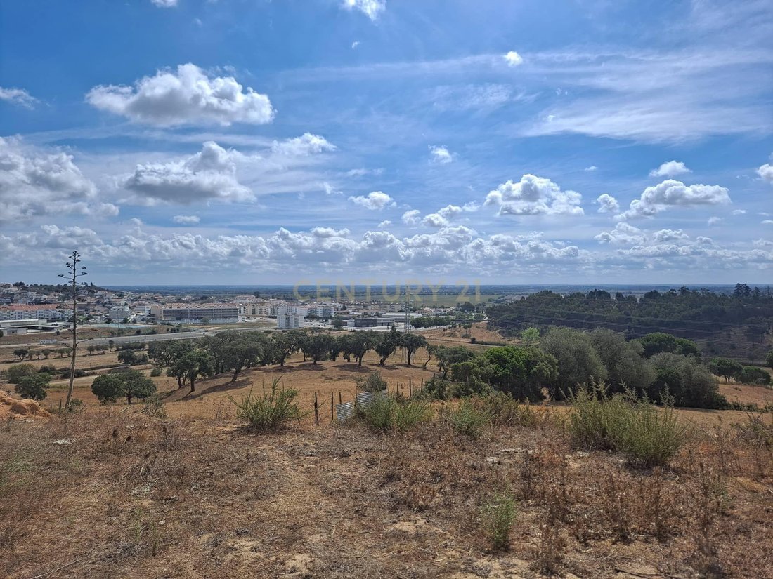Land in Azambuja, Lisbon, Portugal 1 - 13501440
