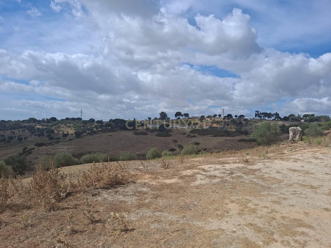 Land in Azambuja, Lisbon, Portugal 5 - 13501440