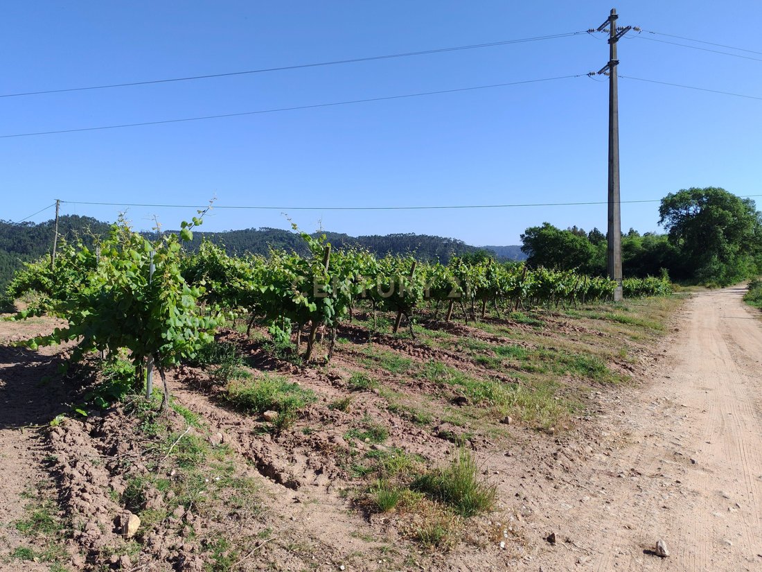 Land in Sobral da Abelheira, Lisbon, Portugal 5 - 15882658