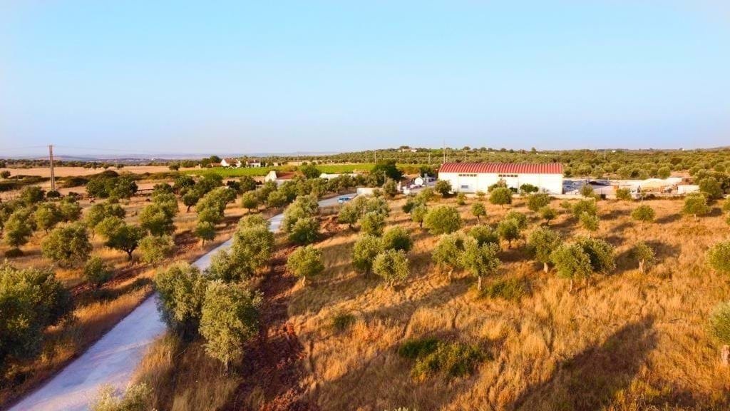 Land in Estremoz (Santa Maria e Santo Andre), Évora District, Portugal 5 - 13444297
