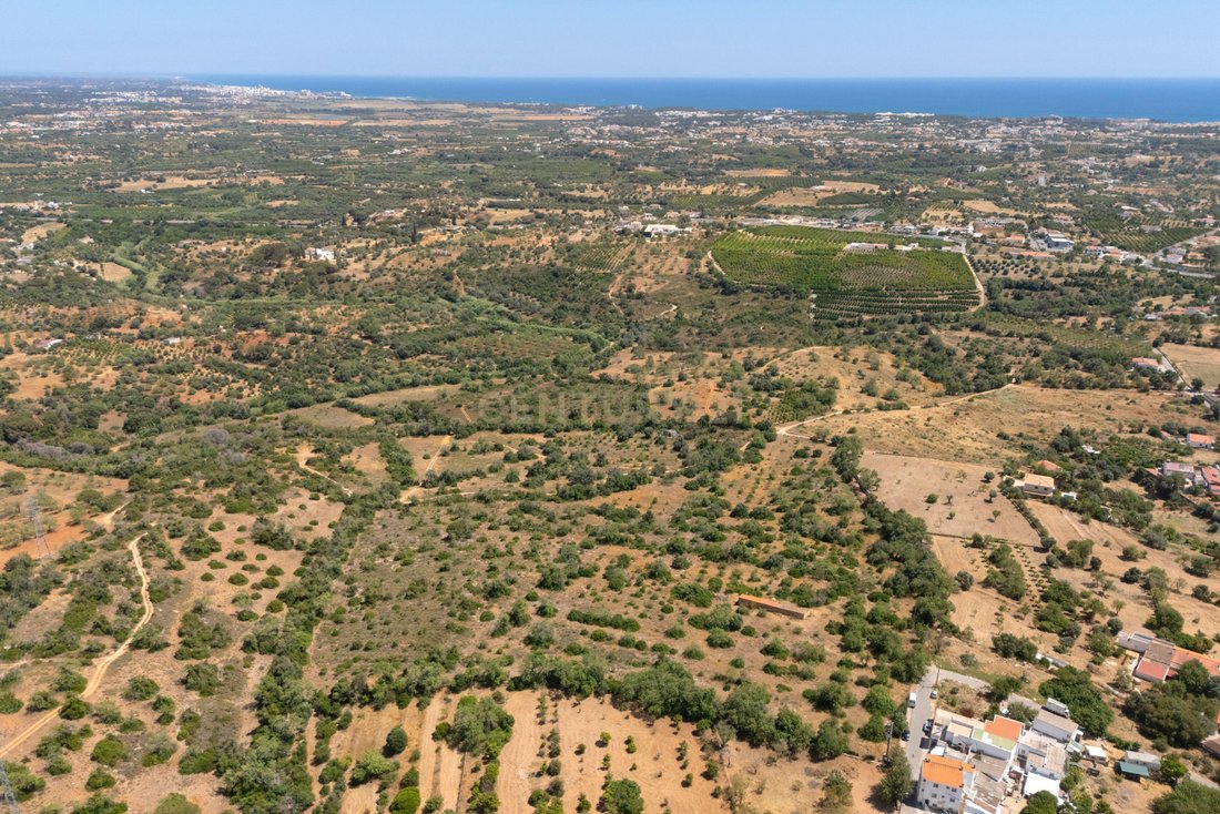 Villa in Ferreiras, Algarve, Portugal 5 - 15914614