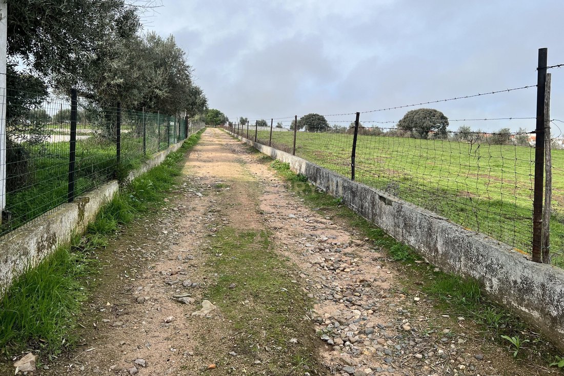Farm Ranch in Santo Aleixo, Portalegre District, Portugal 4 - 15975066