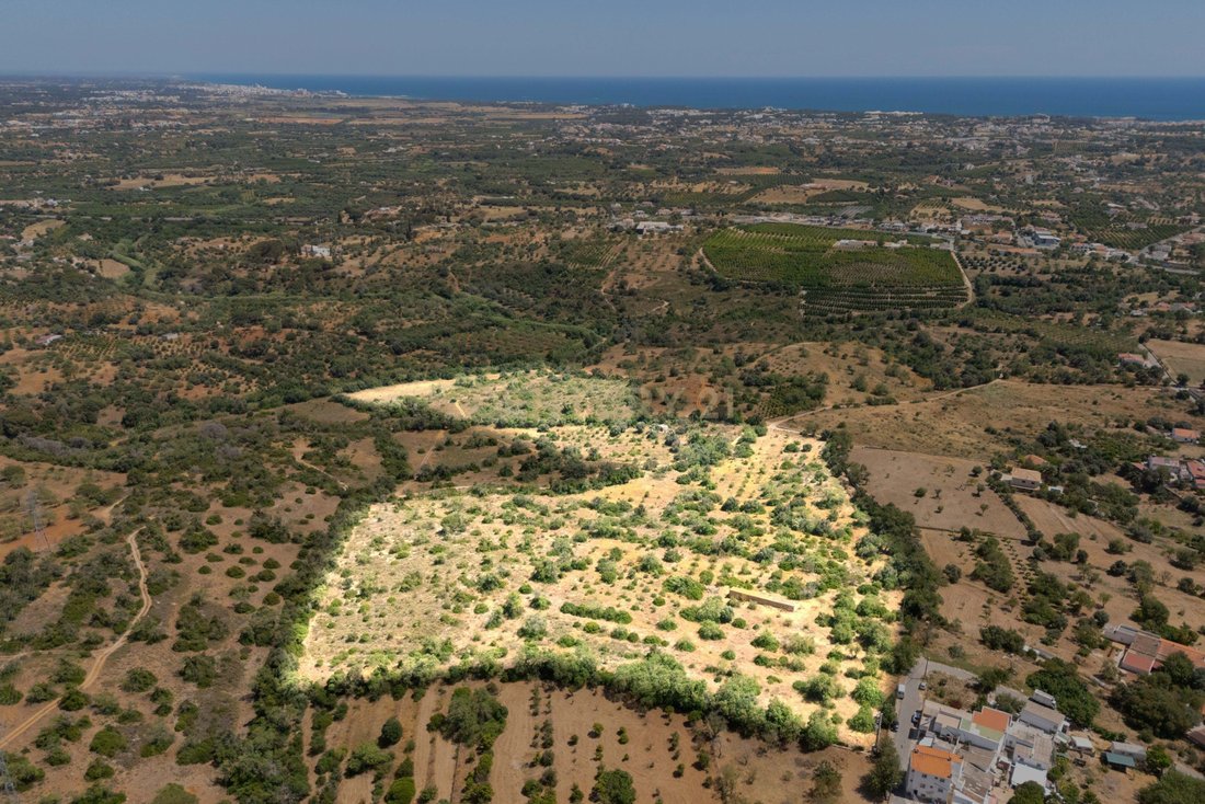 Villa in Ferreiras, Algarve, Portugal 2 - 15914614