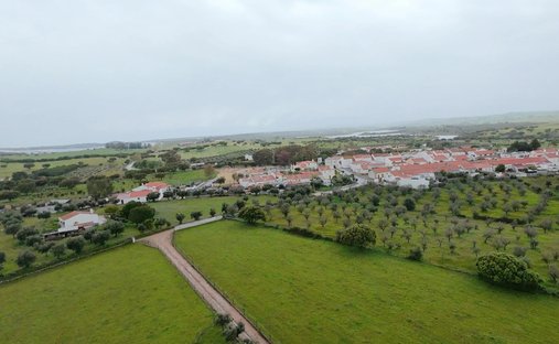 Azienda agricola a Santo Aleixo, Distretto di Portalegre, Portogallo 1