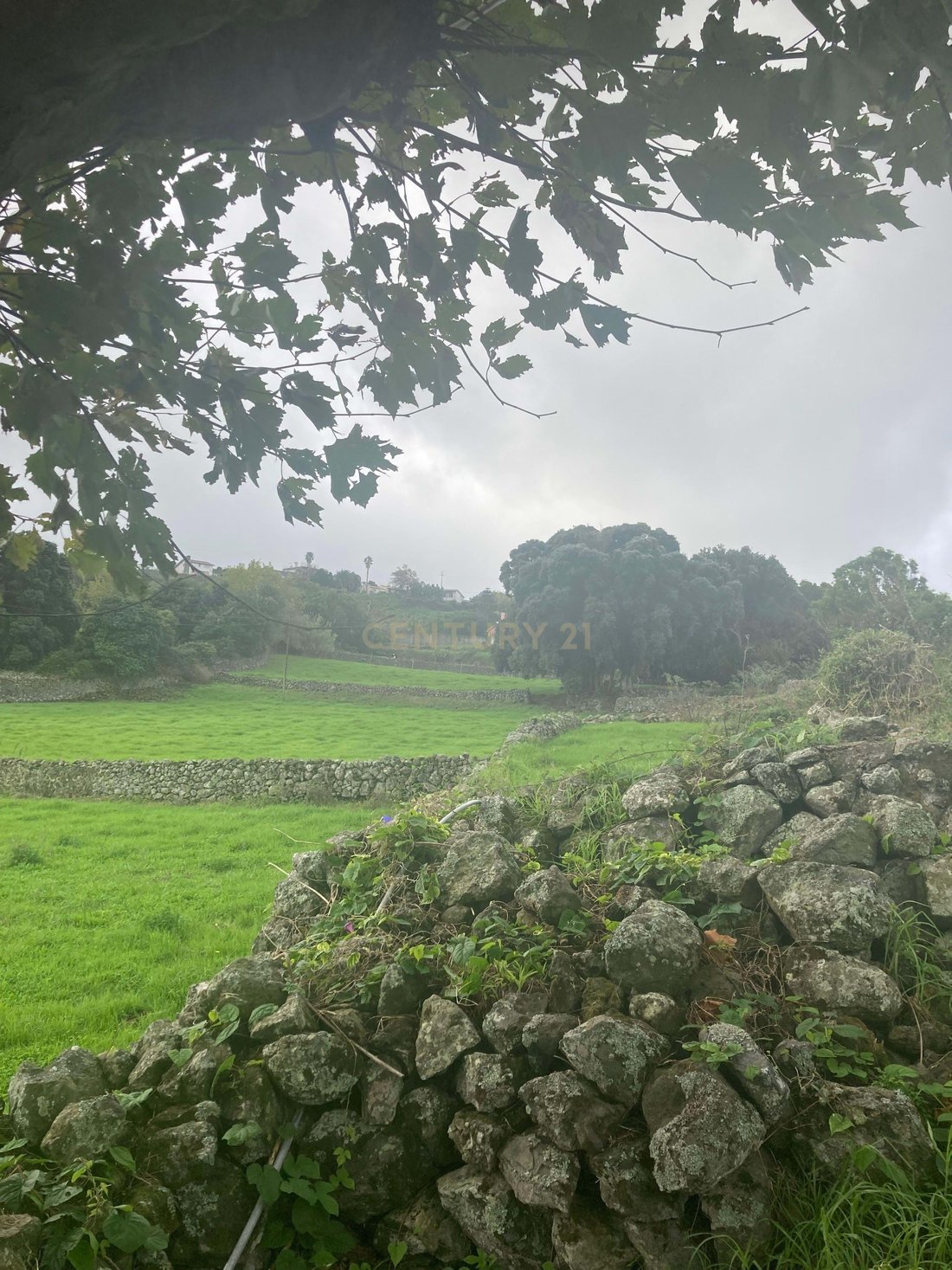 Land in Praia da Vitoria (Santa Cruz), Azores, Portugal 3 - 15063572