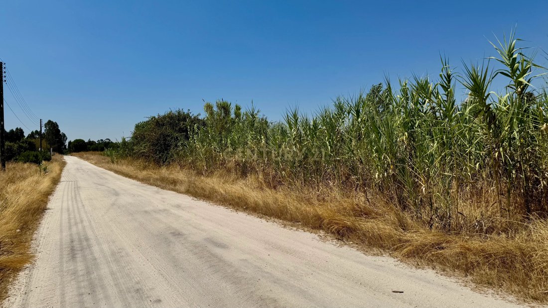 Land in Santo Estevao, Santarem District, Portugal 3 - 16006897