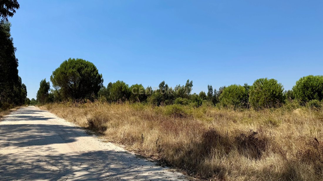 Land in Santo Estevao, Santarem District, Portugal 4 - 16006897