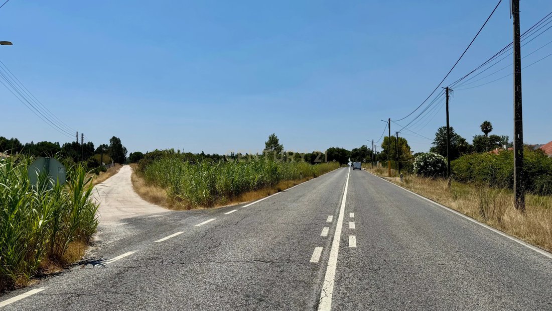 Land in Santo Estevao, Santarem District, Portugal 2 - 16006897