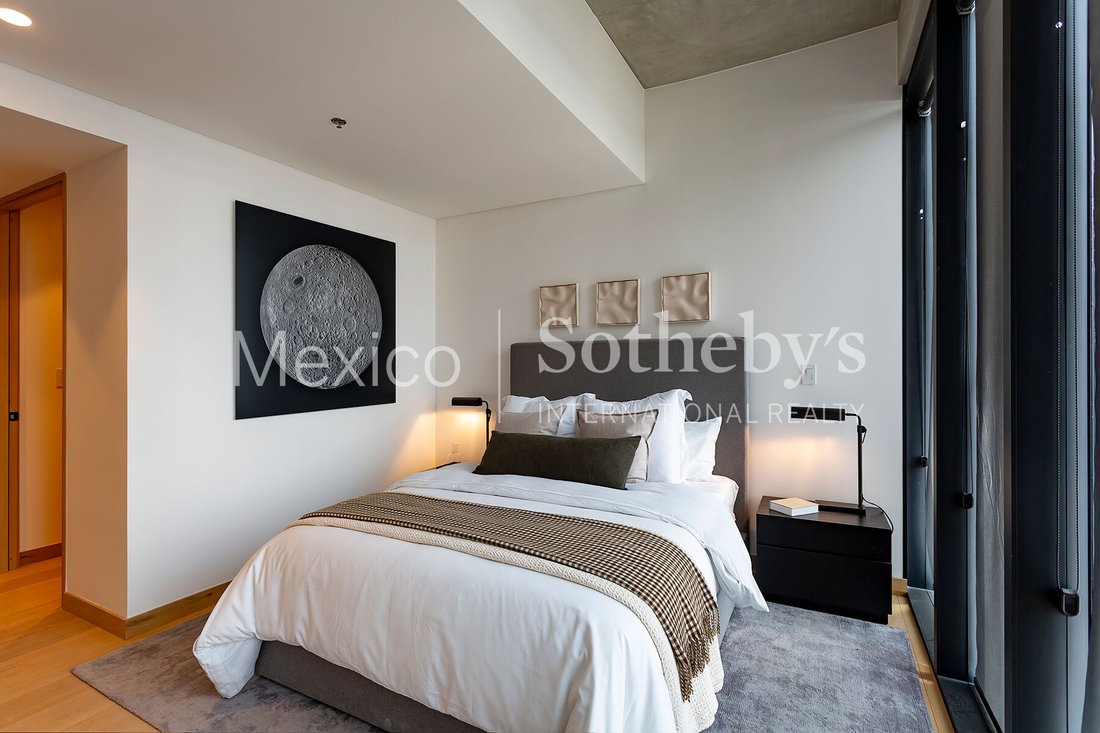 Apartment in Mexico City, Mexico 5 - 12889088