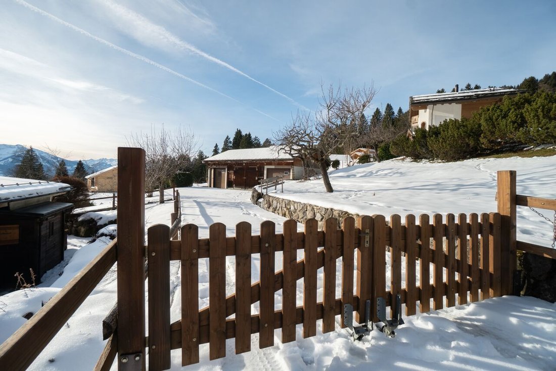 Chalet in Gryon, Waadt, Schweiz 2 - 17008146