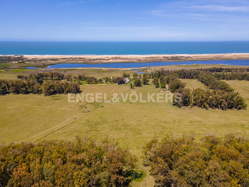 La Paloma, Rocha Department, Uruguay 3 - 17014357