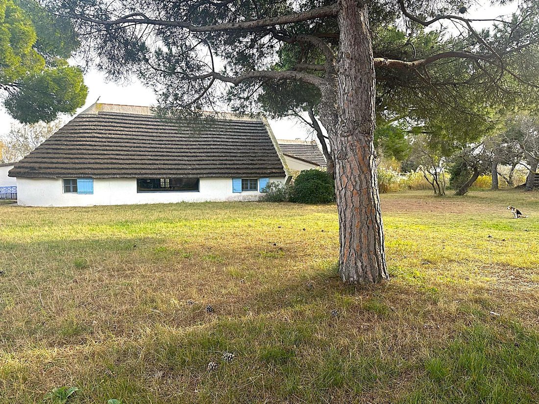 House in Saintes-Maries-de-la-Mer, Provence-Alpes-Côte d'Azur, France 5 - 17012352