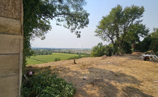 Aoc Côtes De Bourg Wine Château On 16 Hectares Ref 1029 - 3