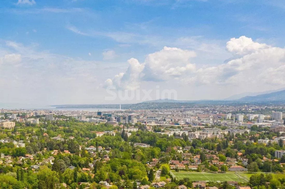 Large Property On The Entrance Of Geneva