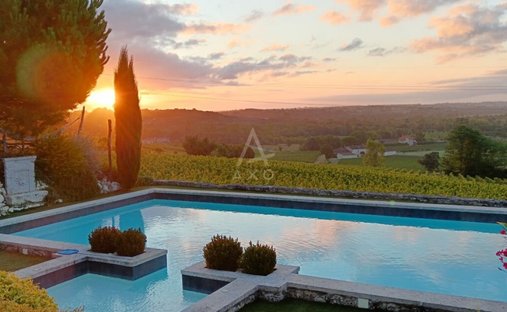 Aoc Côtes De Bourg Wine Château On 16 Hectares Ref 1029