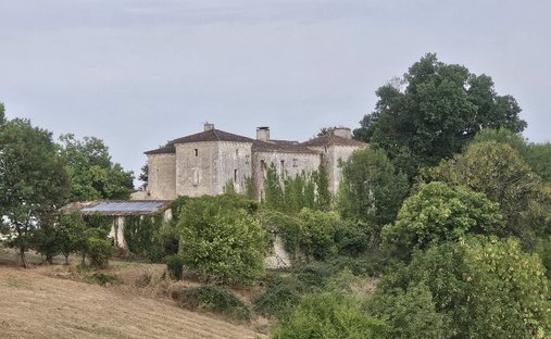 Aoc Côtes De Bourg Wine Château On 16 Hectares Ref 1029