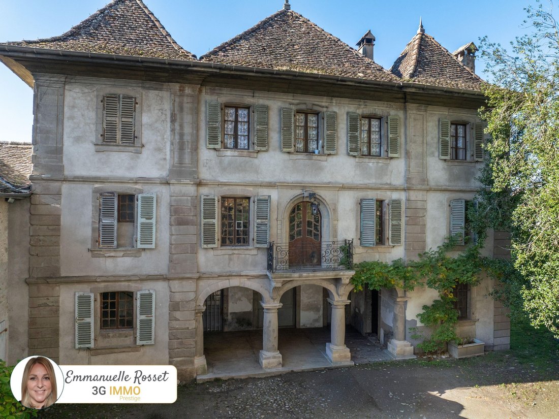 Estate in Douvaine, Auvergne-Rhône-Alpes, France 3 - 17011081
