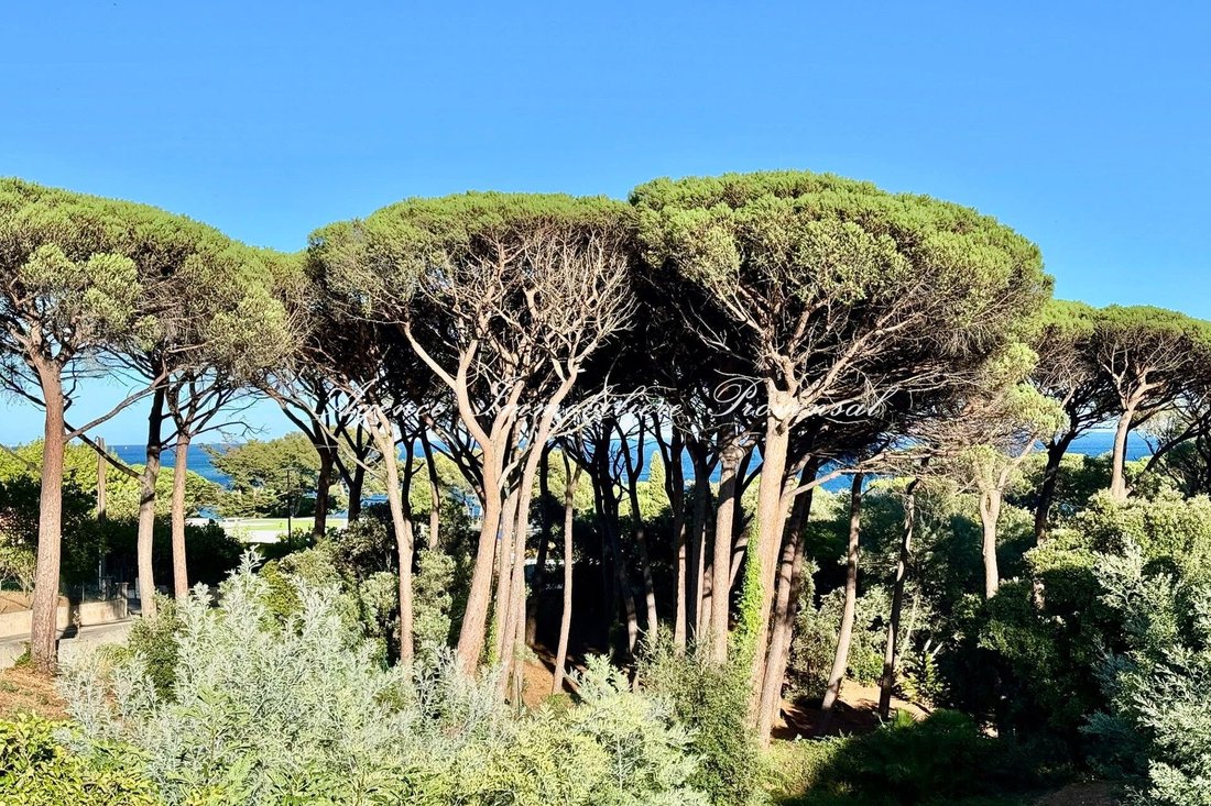 Apartment in Ville-Les Saquedes-Le Bouillonnet, Sainte-Maxime, France 5 - 17011179